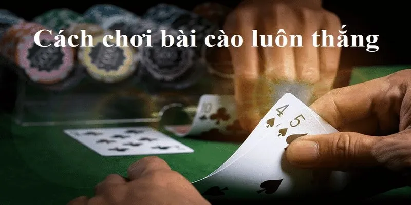 Khái niệm bài cào? 
